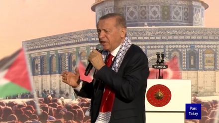 Эрдоган в Турции заявил о массовом пропалестинском митинге Израиль — военный преступник