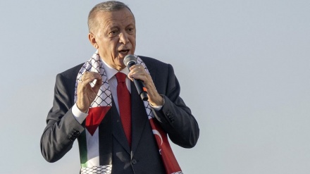 土耳其总统：哈马斯正在为保卫祖国而战斗