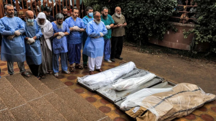 Varrosja në mënyrë masive e civilëve të vrarë në Gaza/Foto