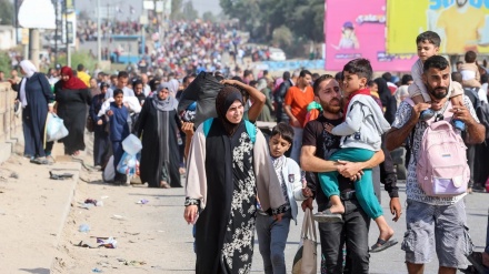 ＷＨＯ事務局長、「ガザ避難民に感染症まん延の恐れ」