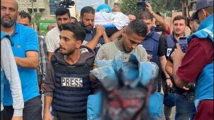 Организация 