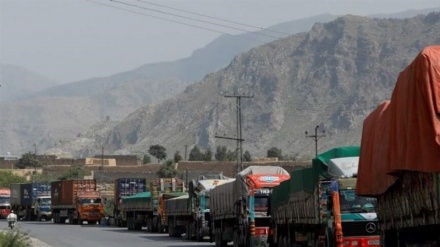 بار انگور تاجران افغان پشت مرزهای پاکستان معطل مانده است