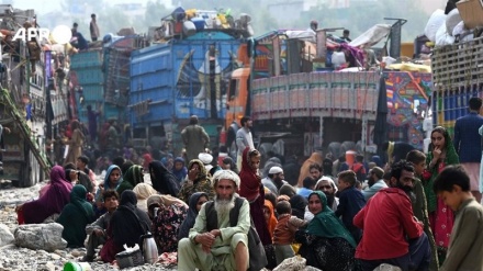 اعتراض فعالان حقوق بشر در پاکستان به تصمیم ضد مهاجرتی اسلام آباد 