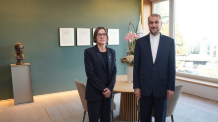 Амир-Абдуллахиан: ХАМАС готов обменять гражданских пленных