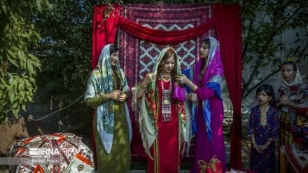 Ceremonia e dasmës tradicionale në mes të popullatës turkmene në Iran/Foto