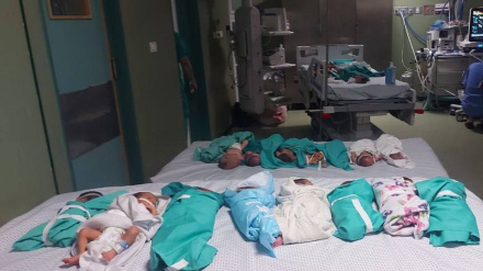 Pushtuesit sulmojnë spitalin e Jeninit dhe arrestojnë dy punonjës të tij