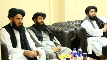 طالبان همکاری بین المللی را برای مبارزه با مواد مخدر در افغانستان خواستار شد