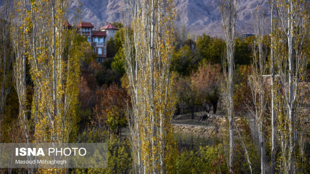 (FOTO DEL GIORNO) L'autunno a Shahmirzad 