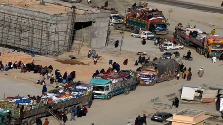 د افغانستان کډوال له لګښت پرته خپلو سیمو ته استول کیږي راپور دلته لرو