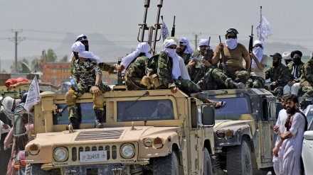 阿富汗前官员：塔利班正在寻找获取核武器的途径