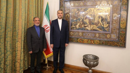 Амир-Абдуллахиан: У Саудовской Аравии значительное положение в политике добрососедства Ирана