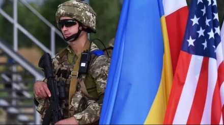 Sputnik: 50% украинской армии - иностранные наемники