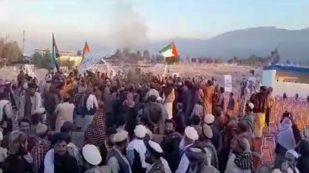 ادامه واکنشها در افغانستان به جنایات صهیونیستها ، نشست قتدهار و ادامه نگرانیها درباره اخراج مهاجرین از پاکستان
