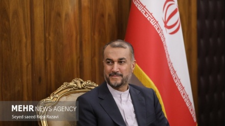 Амир-Абдоллахиан: Устойчивая экономическая интеграция в зоне ОЭС выгодна всем членам