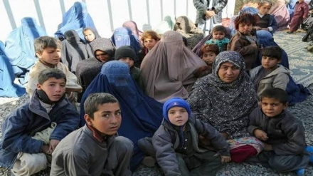 درخواست سازمان ملل از پاکستان برای توقف اخراج مهجران افغان‌ در فصل زمستان