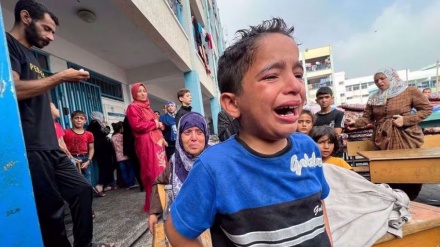 UN rights chief calls for end to Israeli massacre of Gaza's people at schools and shelters