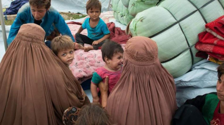 له پاکستان ۳۲۷ زره کسان افغانستان ته ستانه شوي دي