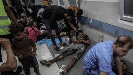 شمار شهدای غزه به 9770 نفر رسید