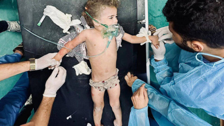 Директор больницы «Аль-Шифа» в Газе: Грядет большая катастрофа