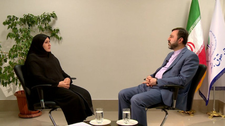 ע'ריבאבאדי : אנו מתמקדים במניעת בריחה ישות הכיבוש מהעמדה לדין