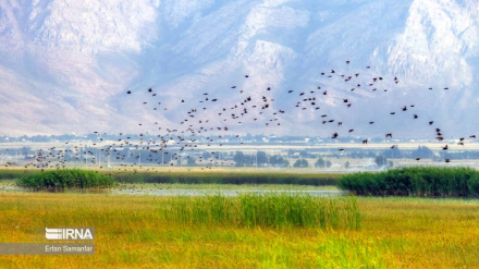 (FOTO DEL GIORNO) Gandoman, Chahar Mahal e Bakhtiari, sud ovest dell'Iran.