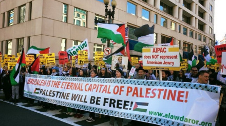 (FOTO) Manifestazioni pro Palestina a Washington 