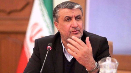 Reaktion des Leiters der iranischen Atomenergieorganisation auf Eingeständnis der Zionisten, Atomwaffen zu besitzen