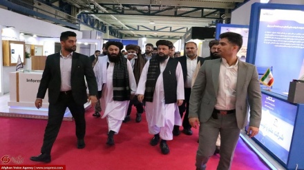 پاسخ وزیر انرژی و آب طالبان درباره حقابه ایران: خدا کند باران ببارد