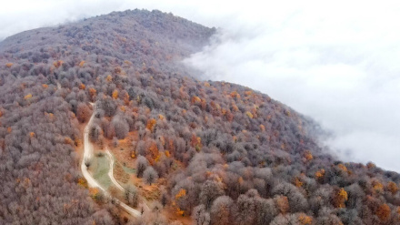 (FOTO DEL GIORNO) L'autunno nel bosco Mazichal