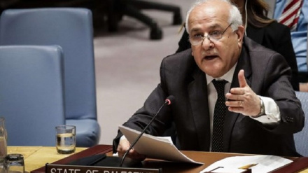 ग़ज़्ज़ा पर सुरक्षा परिषद का प्रस्ताव, फ़िलिस्तीन ने प्रस्ताव की निंदा की