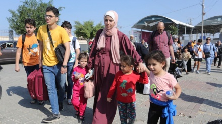 Rihapja e korridorit Rafah/Foto