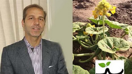 Патент иранца зарегистрирован в Патентном ведомстве США