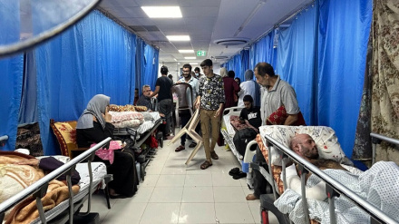 غزې کښې د صهیونیسټ رژیم له جنایتونو د نړیوالې غصې زیاتیدل:-