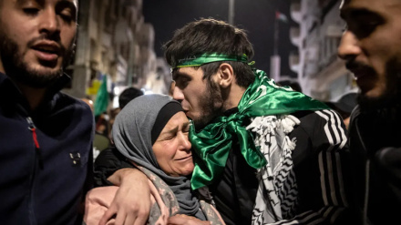 Lirimi i 33 të burgosurve palestinezë nga burgjet e regjimit pushtues sionist/Foto