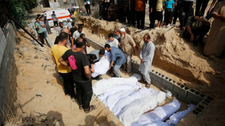 Увеличение международной поддержки Газы