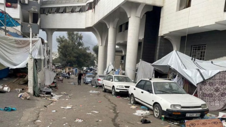 নিরাপত্তা ও সামরিক ব্যর্থতা ঢাকতে বন্দী নিয়ে মিথ্যাচার করছে ইসরাইল 