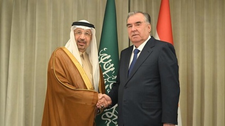 دیدار رئیس جمهوری تاجیکستان با وزیر سرمایه گذاری عربستان