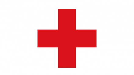 IKRK ruft zu dringender Hilfe auf um humanitären Bedarf im zerstörten Gazastreifen zu decken