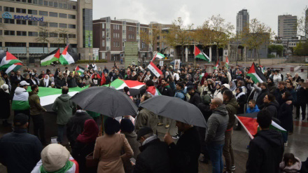 В Нидерландах прошли антисионистские демонстрации 