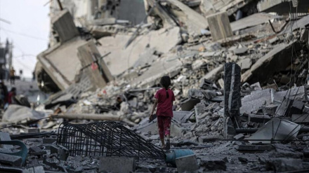 فلسطین کښې د ۲۱ پیړۍ حقیقي هولوکاسټ رامینځته شو