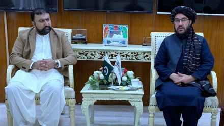 گفت‌وگوی مقام های افغانستان و پاکستان درباره پناهجویان اخراجی