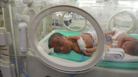医生们正在努力拯救加沙的早产儿