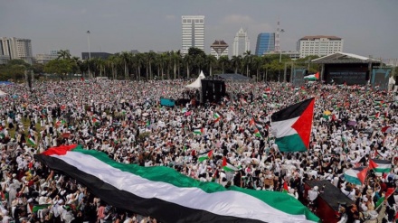 Demonstrations held in several countries against Israel's murderous military offensive
