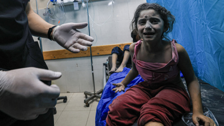 Top Iranian legal expert urges UN to report on crimes of Israel in Gaza