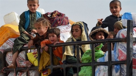 25 درصد پناهجویان اخراجی افغان‌ از پاکستان کودک هستند