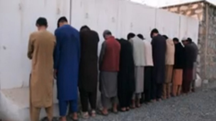 ننګرهار کښې د غلو یوه ډله نیول شوي دي نور جزیات په دغه راپور کښې لرو