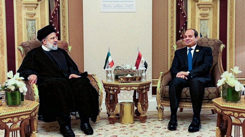 मिस्र के साथ संबंधों में विकास और विस्तार के लिए हमारे सामने कोई रुकावट नहीं हैः राष्ट्रपति रईसी