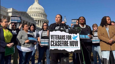 US military veterans arrested in protests against Israel’s genocidal war