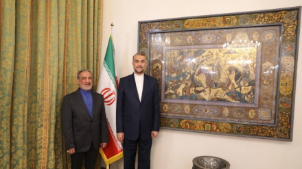 Əmirəbdullahiyan: İroni hamsuyəti siyosətədə Ərəbistoni vırə vey muhimme