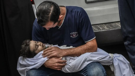 Франция призвала к немедленному прекращению конфликта в Газе